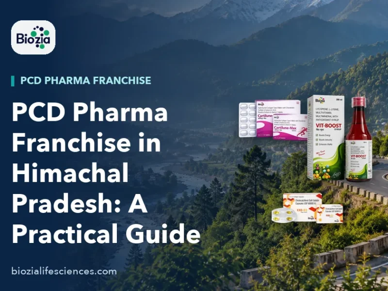 Hill road in Himachal Pradesh used to transport goods for a PCD pharma franchise in Himachal Pradesh